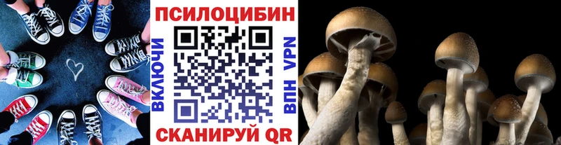 Псилоцибиновые грибы ЛСД  маркетплейс клад  Сальск 