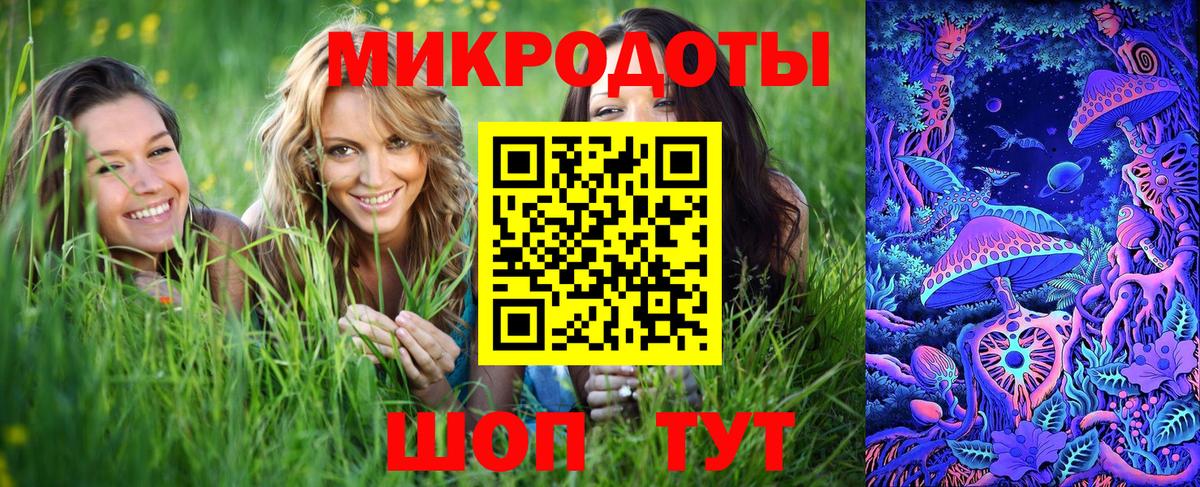 Сальск  Псилоцибиновые грибы прущие грибы  Вход с VPN 